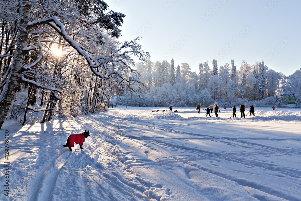 Obraz premium Dog in red clothes looks at people playing hockey on a frozen po