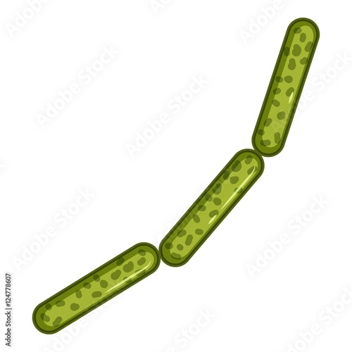 Green rod shaped virus icon. Isometric 3d illustration of rod shaped virus vector icon for web