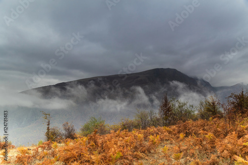 Fog in the mountain in autumn