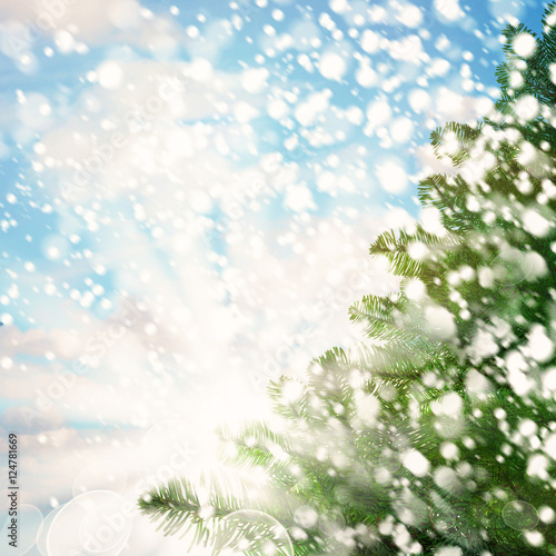 Winter Background with Green Christmas Tree and White Snow