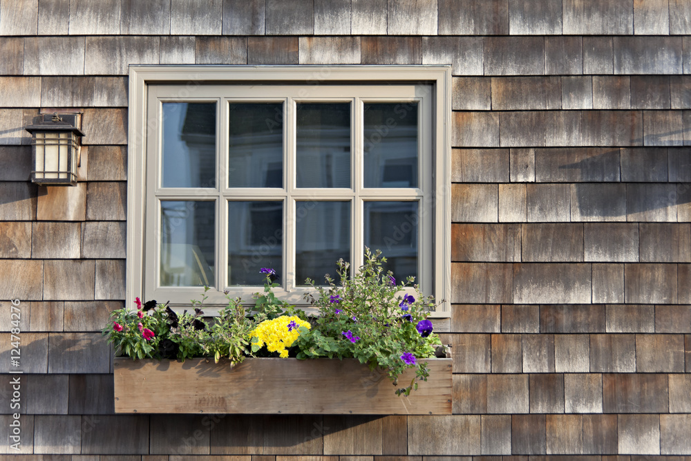 Fototapeta Colorful flowers growing in a window box with a wood shingle wall background.