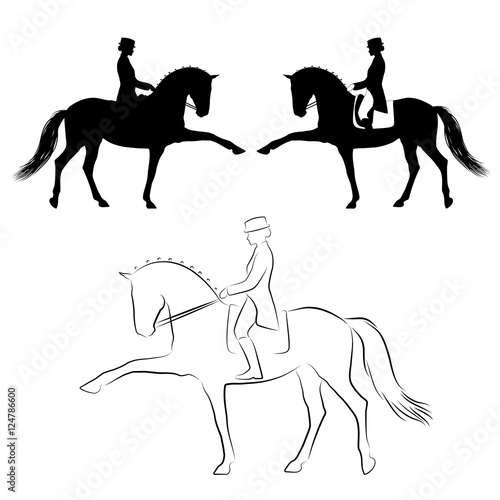 Dressage  horse with rider performing spanish walk