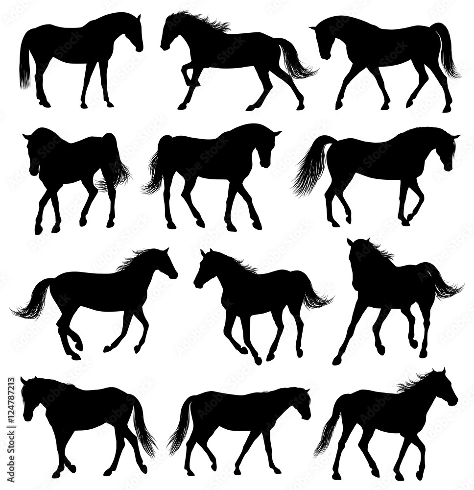 Set of 12 different moving horses silhouettes