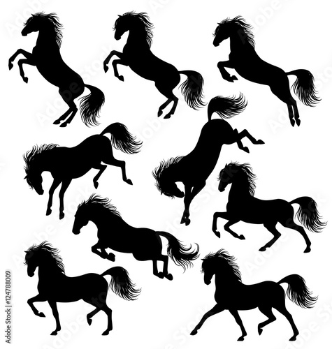 Set of a moving horse silhouettes isolated on white