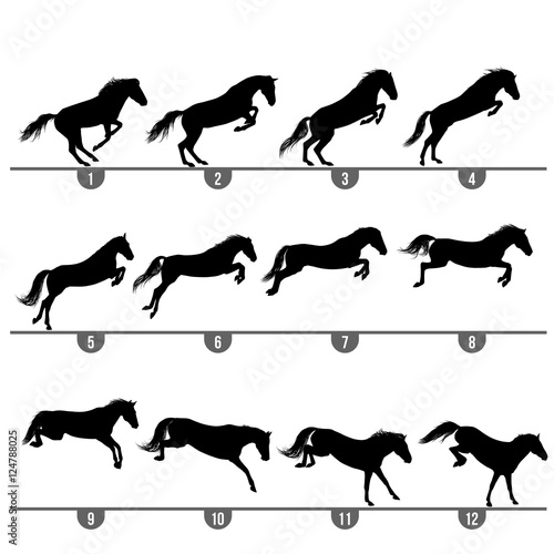 Set of 12 jumping horse phases silhouettes
