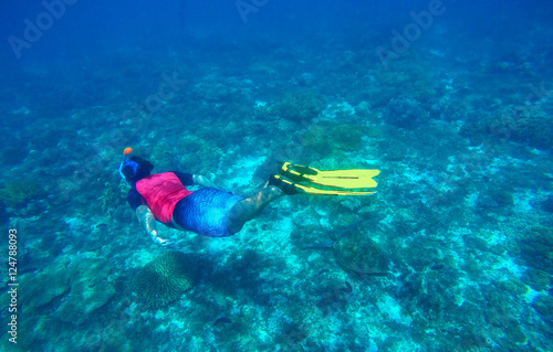 Snorkeling with sea turtle. Ocean landscape with coral reef, seaweed, nautical fauna.