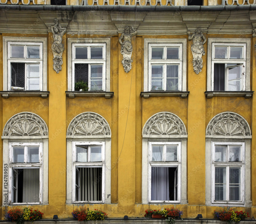 Fototapeta premium colorful flowers on orange wall windows