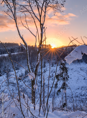 Wallpaper Mural Winterlandschaft Torontodigital.ca