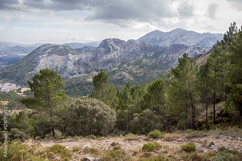 paraje natural de la sierra de Grazalema en la provincia de Cádiz, Andalucía