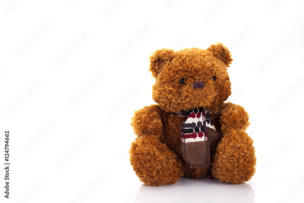 Obraz premium brown teddy bear isolated