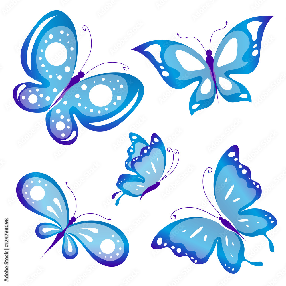 color butterflies,isolated on a white color butterflies,isolated on a white