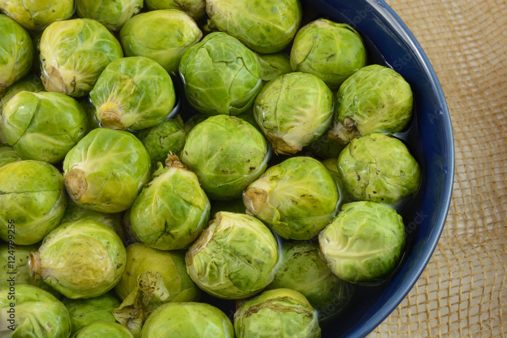 Brussel Sprouts soaking in bowl of water to loosen agricultural dirt Brussel Sprouts soaking in bowl of water to loosen agricultural dirt