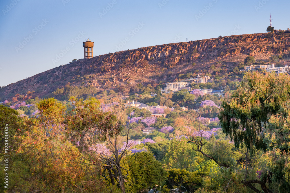 Fototapeta premium Northcliff JHB Watertower Jacaranda trees purple