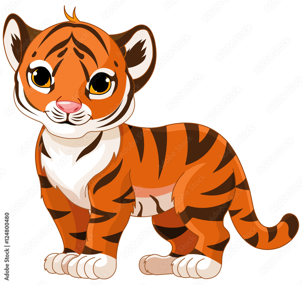 Baby Tiger Baby Tiger