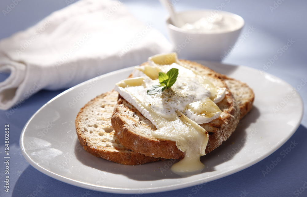 sandwich with cheese on a table, on a white plate sandwich with cheese on a table, on a white plate