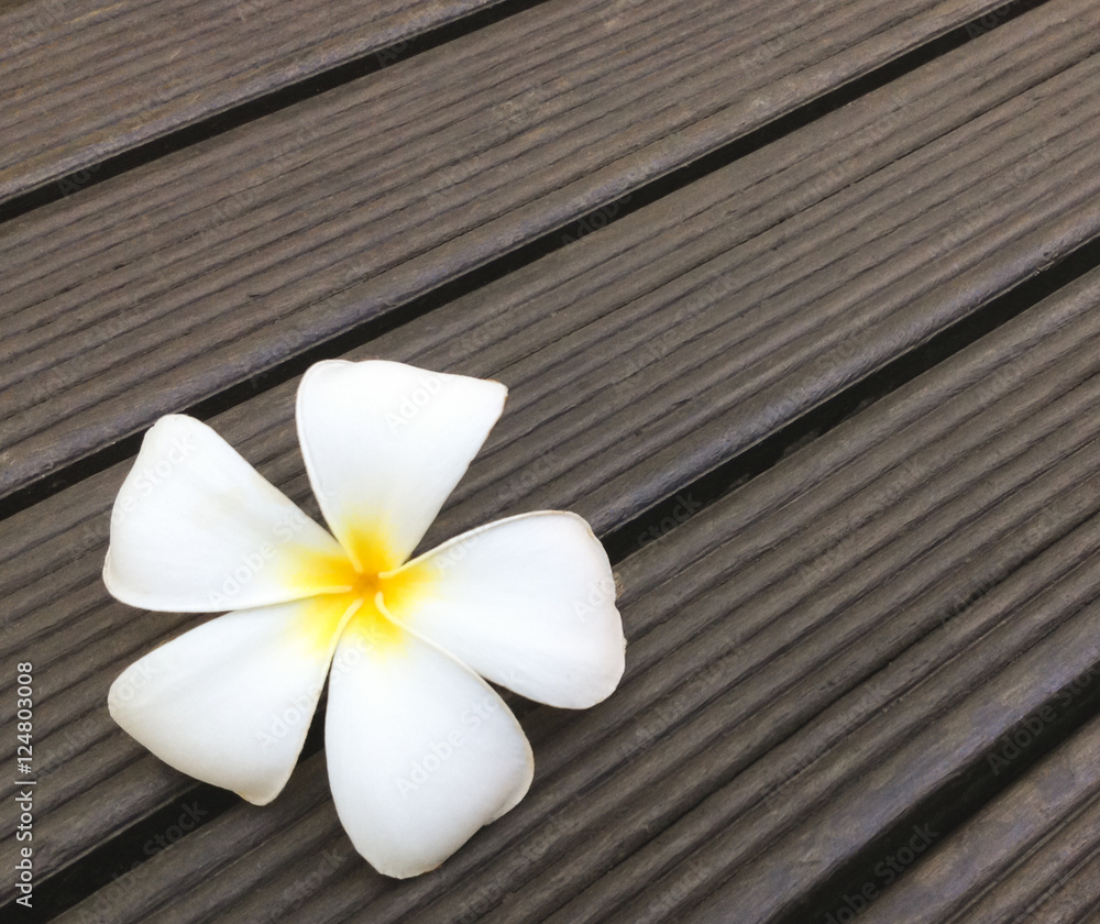Plumeria or Frangipani flower on wooden background Plumeria or Frangipani flower on wooden background