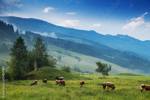 Morning in the Alps, Austria, Rauris. Nature landscape