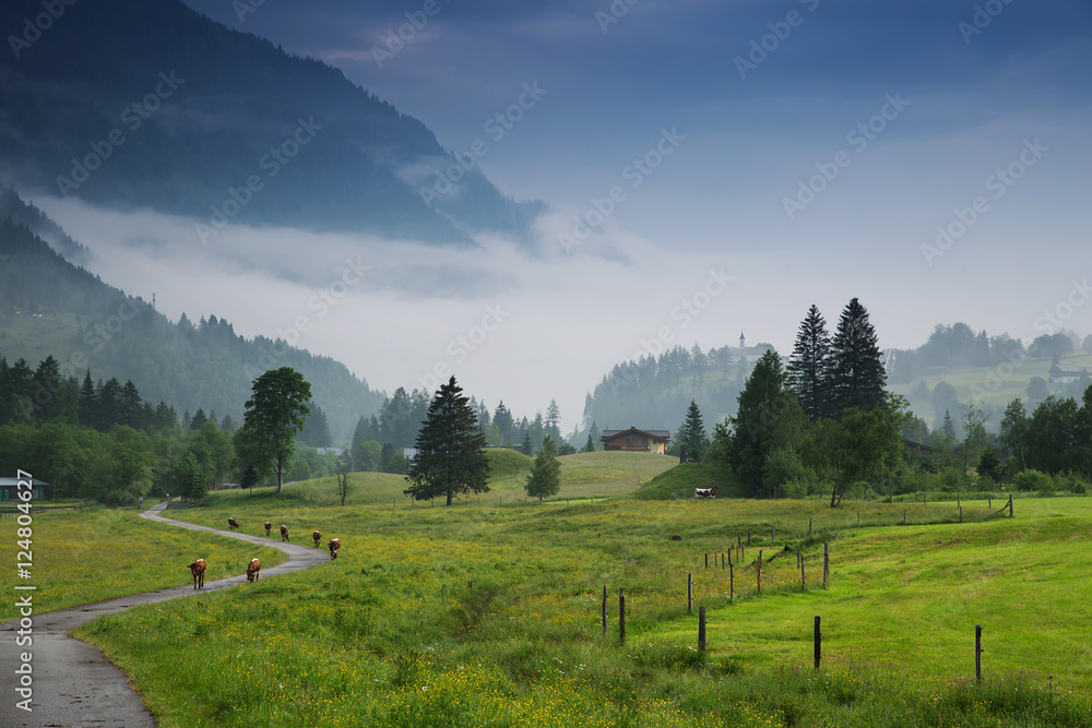 Morning in the Alps, Austria, Rauris. Nature landscape Morning in the Alps, Austria, Rauris. Nature landscape