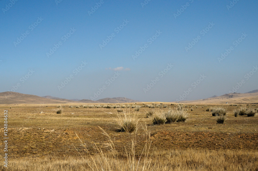 Fototapeta premium delicate haze of morning mist over the valley. hilly landscape. Savannah, grassland . used toning of the photo 