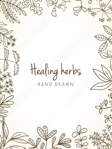Vintage card of medicinal organic healing herbs.