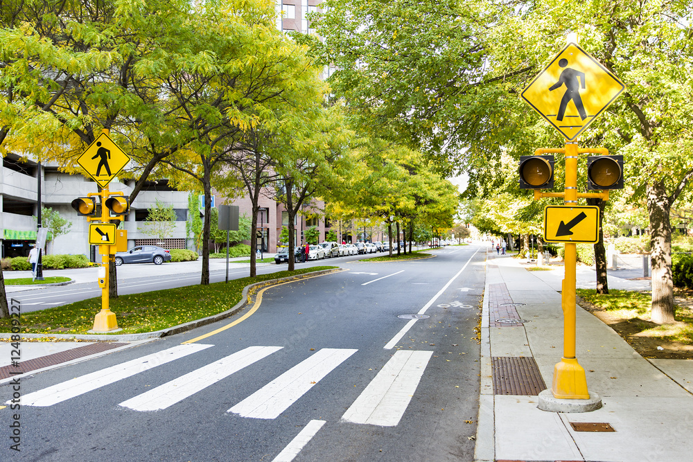 Pedestrian Crossing In The City Traffic Sign And Traffic Lights On Pedestrian Crossing In The City Traffic Sign And Traffic Lights On