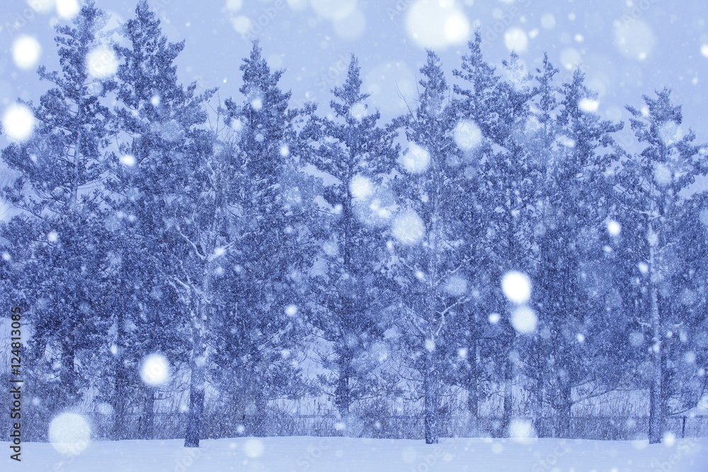 ホワイトクリスマス ホワイトクリスマス