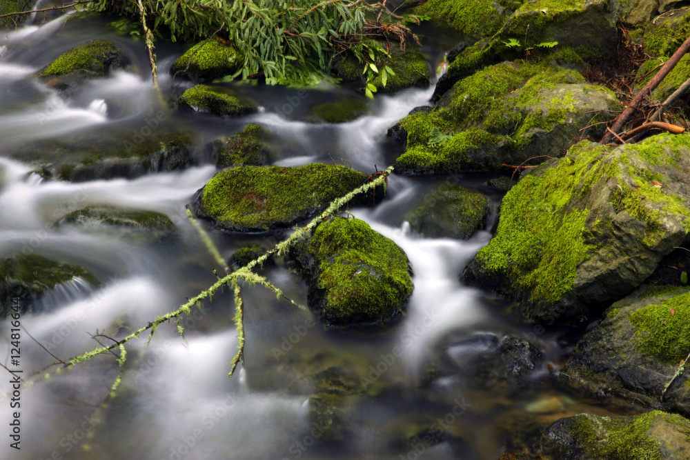 mossy stones in water mossy stones in water