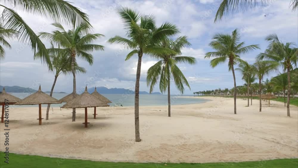 View of the Sandy Beach With Umbrellas and Palm Trees View of the Sandy Beach With Umbrellas and Palm Trees