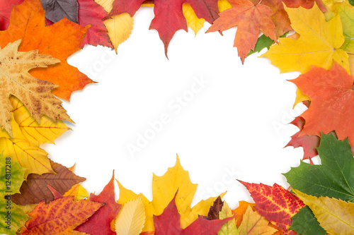 Background with colorful autumn leaves and white copyspace in the center.