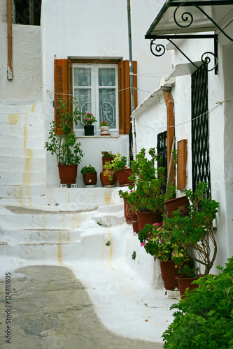 window plants n white-wash steps