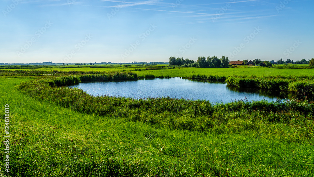 Obraz premium A pond in flat land of a farmers field near the Veluwemeer at the town of Nijkerk in the netherlands