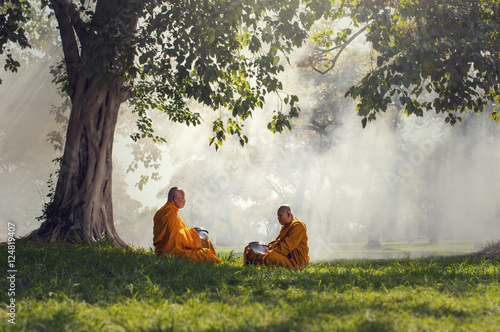 Obraz na plátně Two monks meditation under the trees with sun ray, Buddha religi