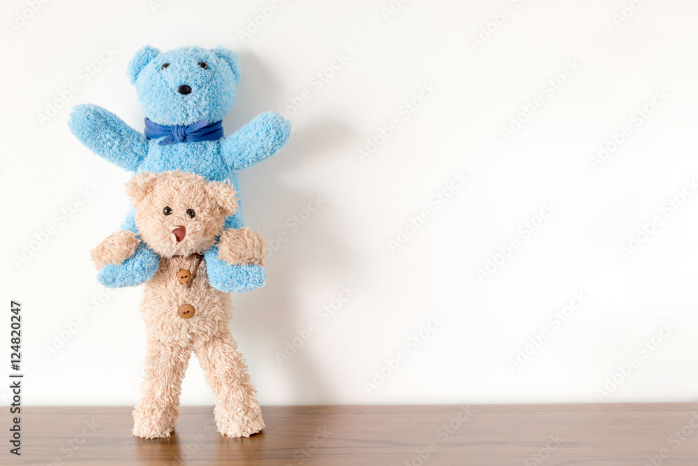 Obraz premium Two teddy bears