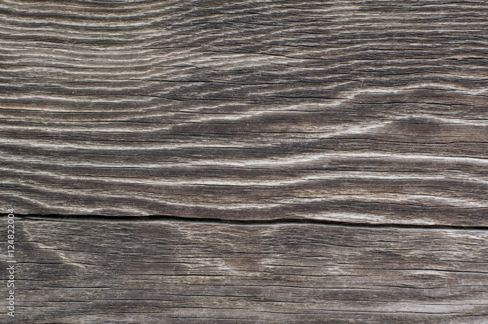 Naklejka premium Texture of the old pine planks