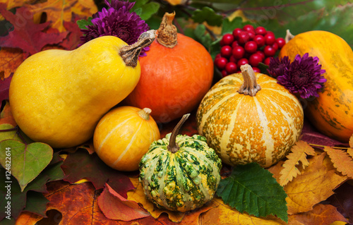 Pumpkins and leaves