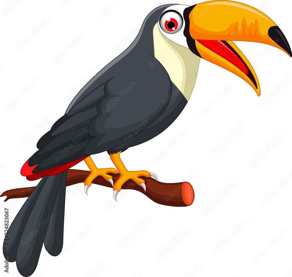 Obraz premium Cute cartoon toucan bird