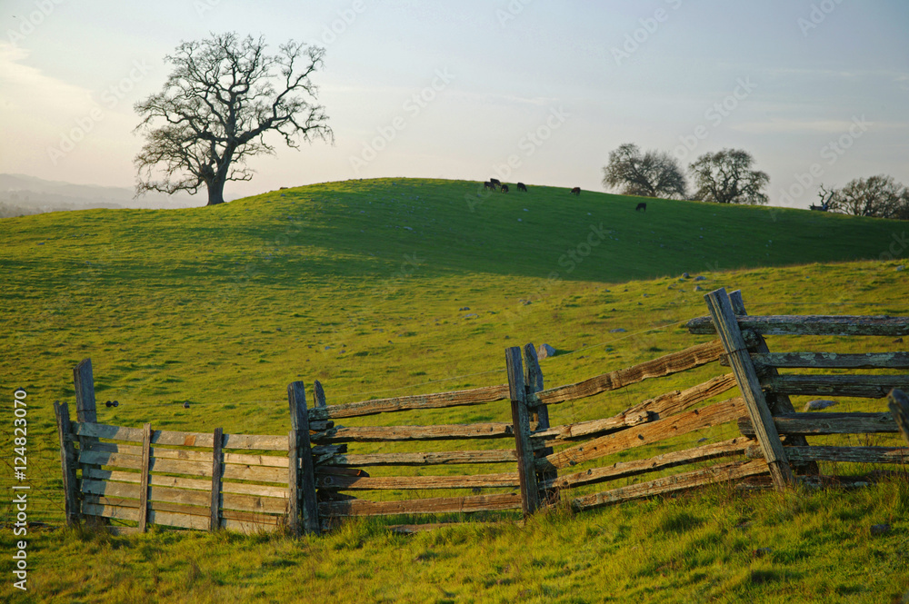 long fence n green fields