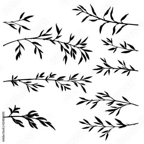 set of tree branches with leaves