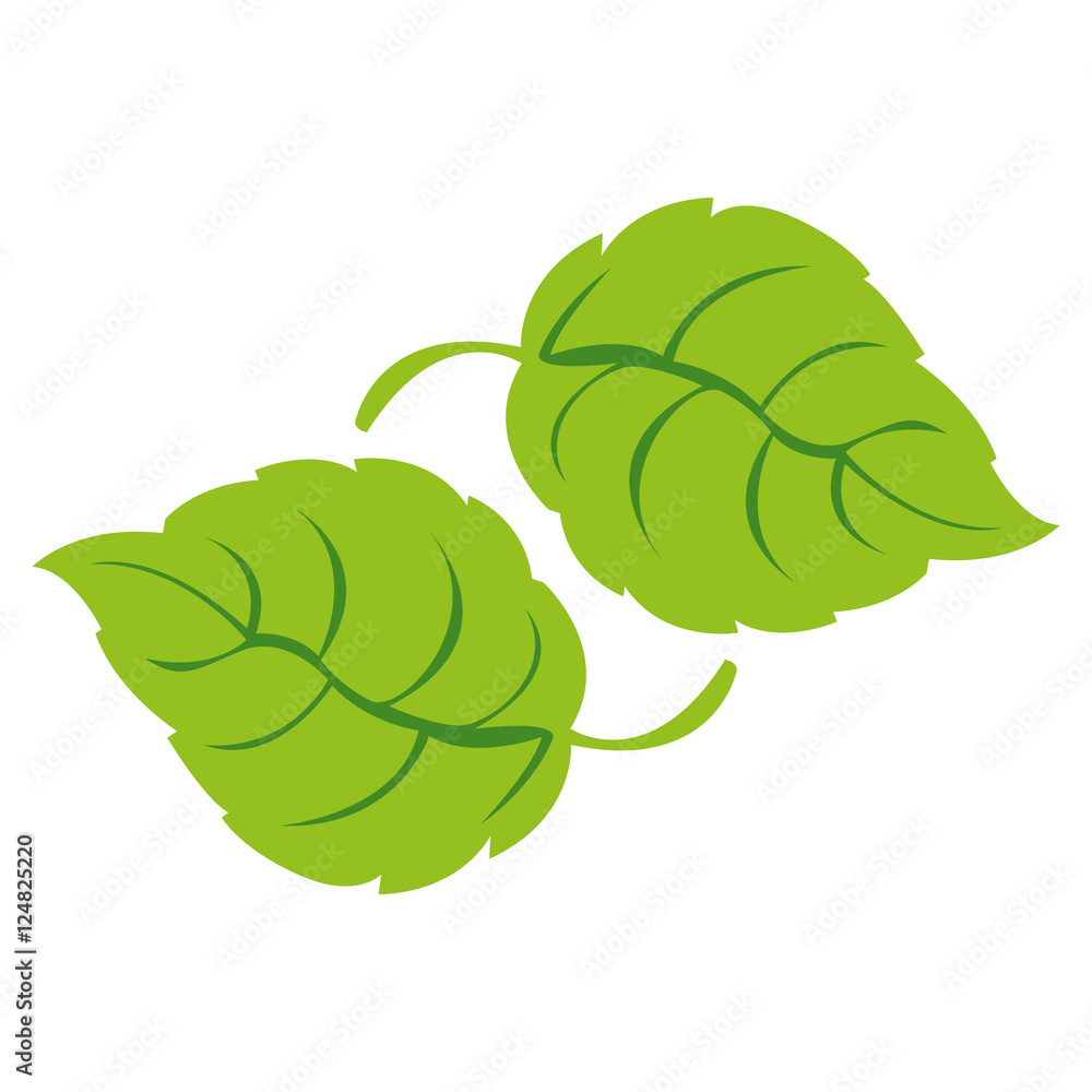 Fototapeta premium simple leaf icon image vector illustration design 
