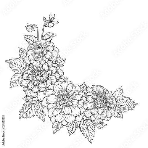 Fototapeta Naklejka Na Ścianę i Meble -  beautiful monochrome black and white bouquet dahlia isolated on background.