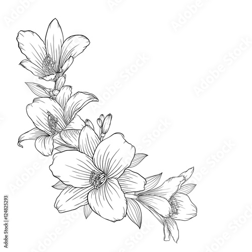 beautiful monochrome black and white bouquet lily isolated on background.
