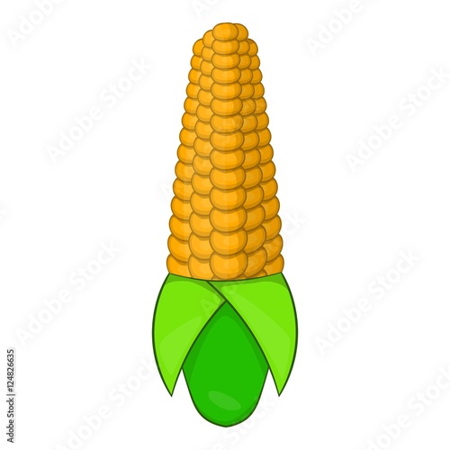 Corn cob icon. Cartoon illustration of corn vector icon for web design