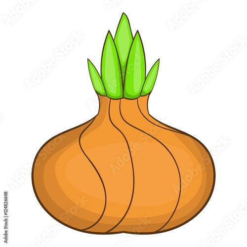Onion icon. Cartoon illustration of onion vector icon for web design