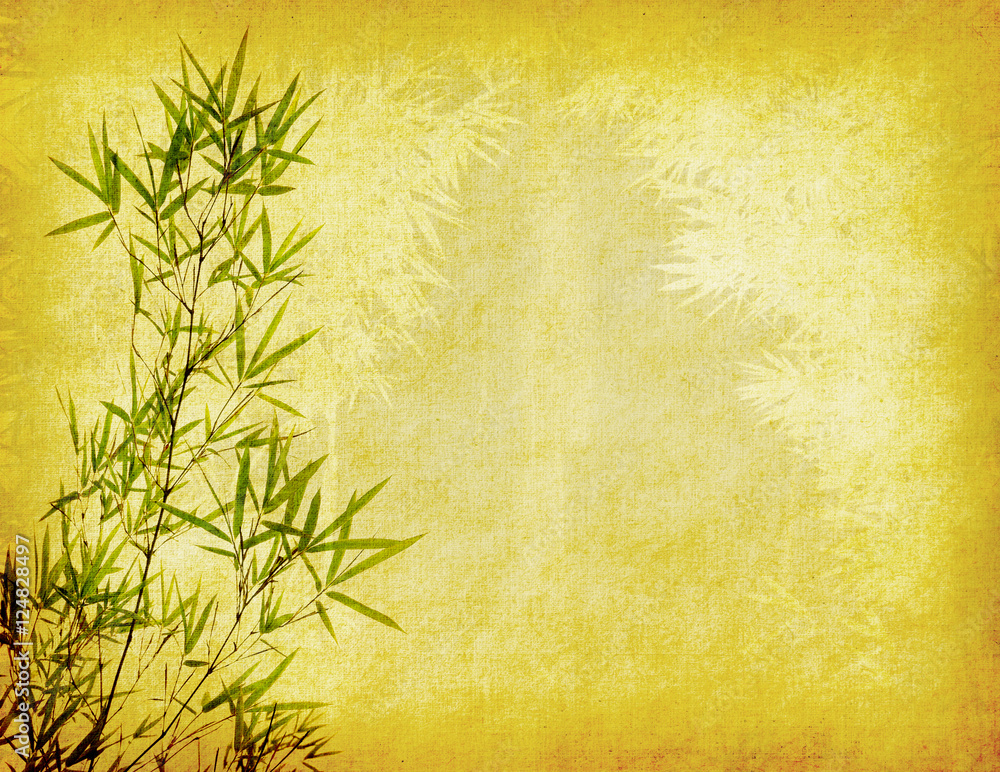 Fototapeta premium bamboo on old grunge paper texture background