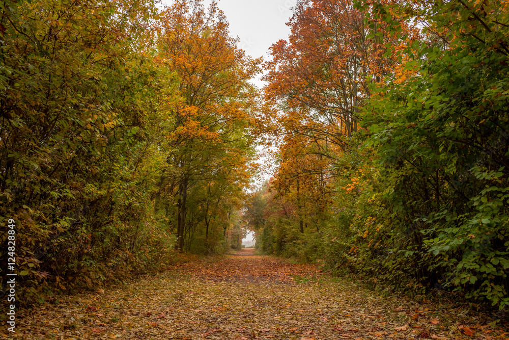 Obraz premium Walk in the Desert