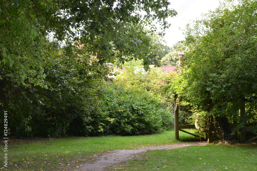 Garden path 