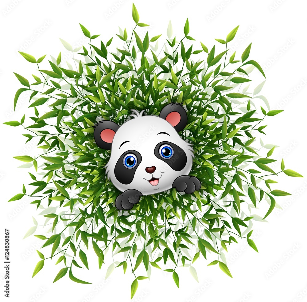 Fototapeta premium Cute baby panda smiling with lots of bamboo leaf isolated white background
