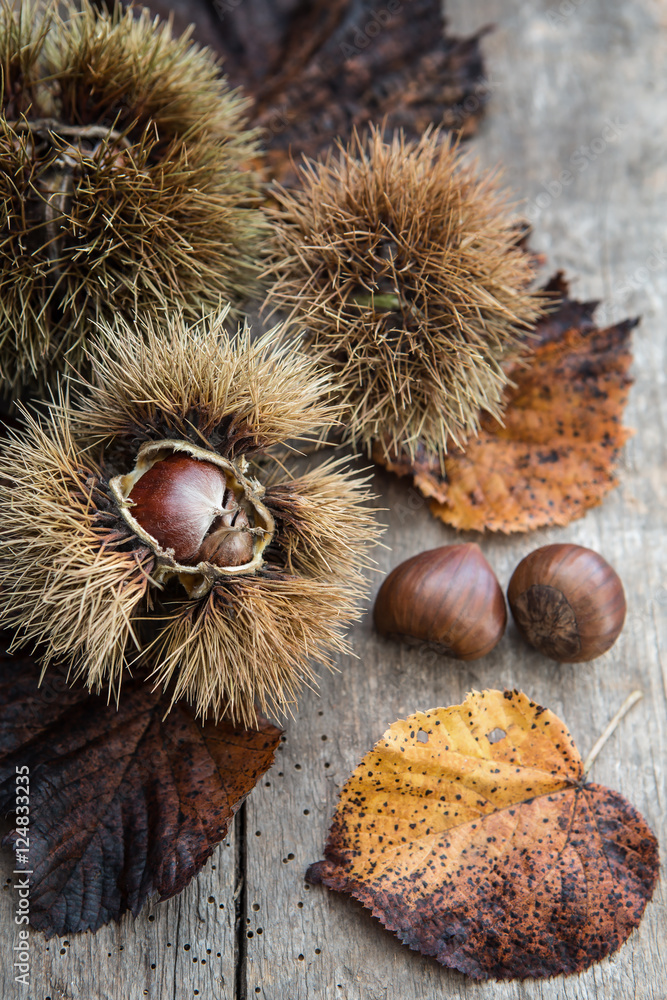 Esskastanien / Marroni mit Herbstlaub auf einem alten Holzuntergrund Esskastanien / Marroni mit Herbstlaub auf einem alten Holzuntergrund