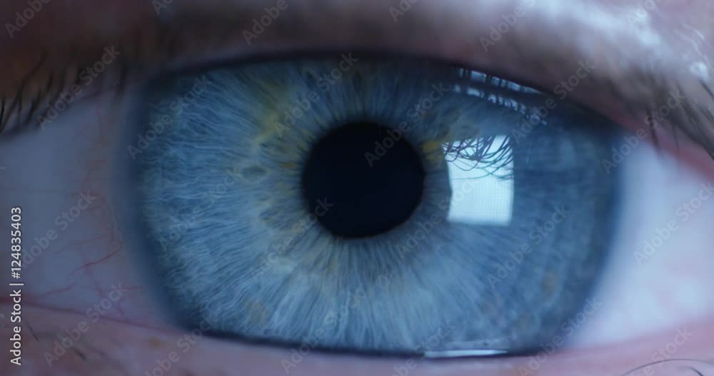 perfect blue eye macro in a sterile environment and perfect vision in resolution 6k,  concept, the vision of the future and healthy life concept. view precise and straight to the target.