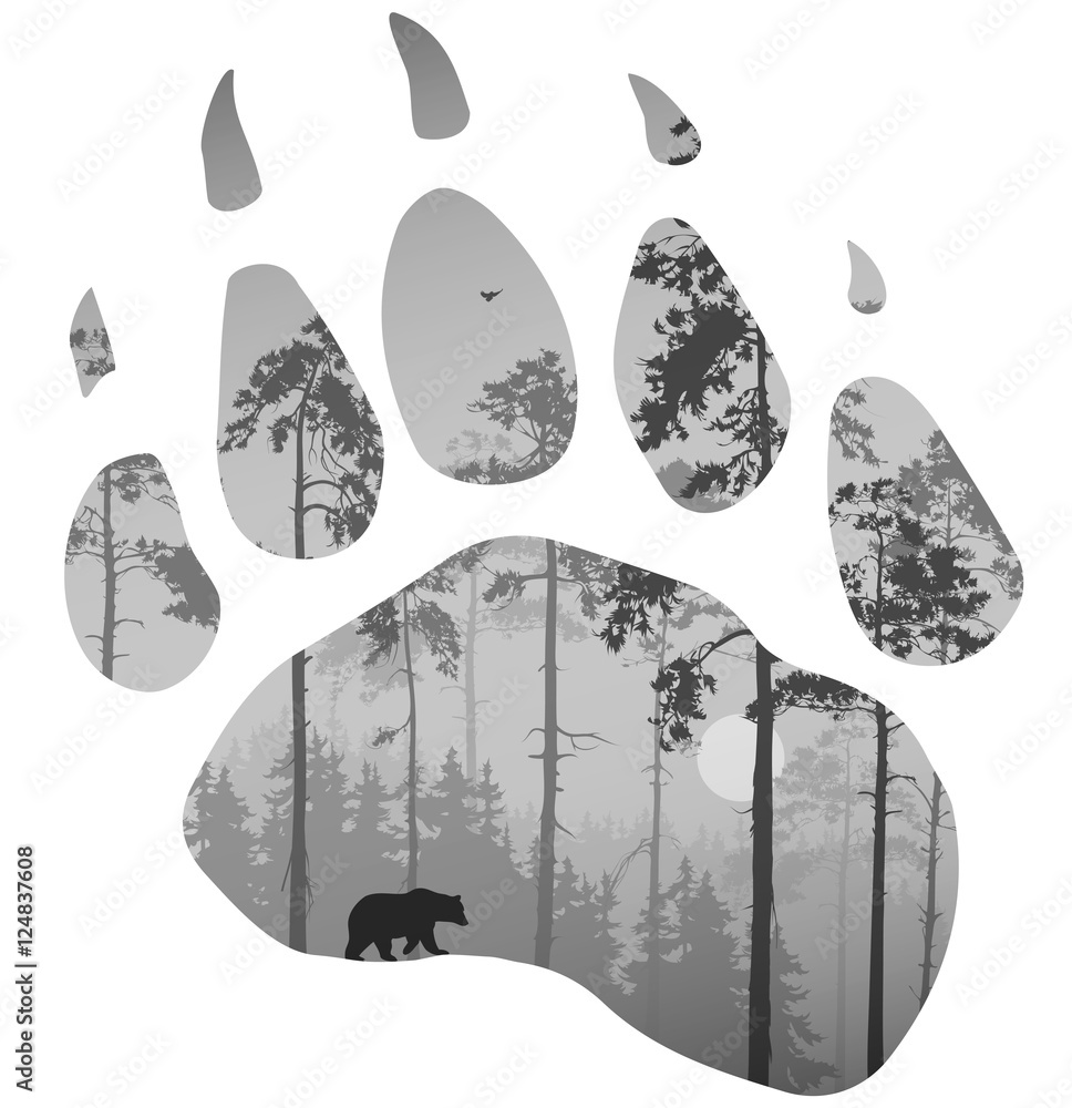 Obraz premium niedźwiedź szlak